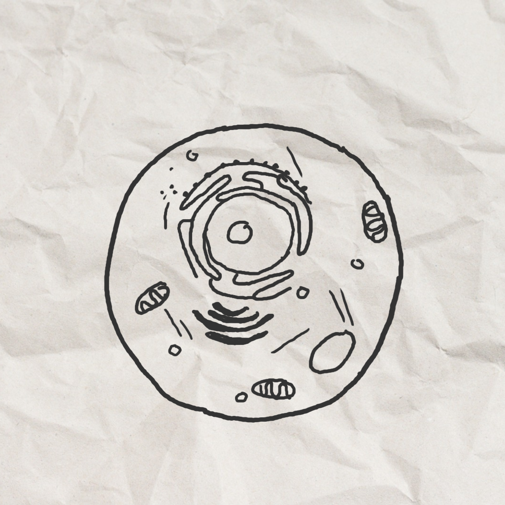 BackPackLabs Icon Biologie Leben