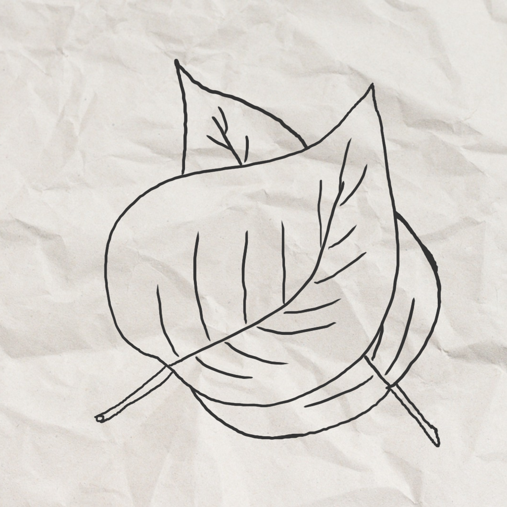 BackPackLabs Icon Biologie Tiere & Pflanzen
